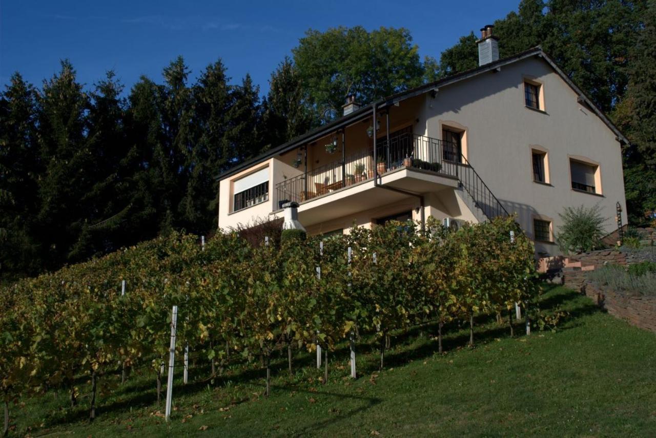Casavitis Erholung Am Weinberg Lontzen Exterior foto
