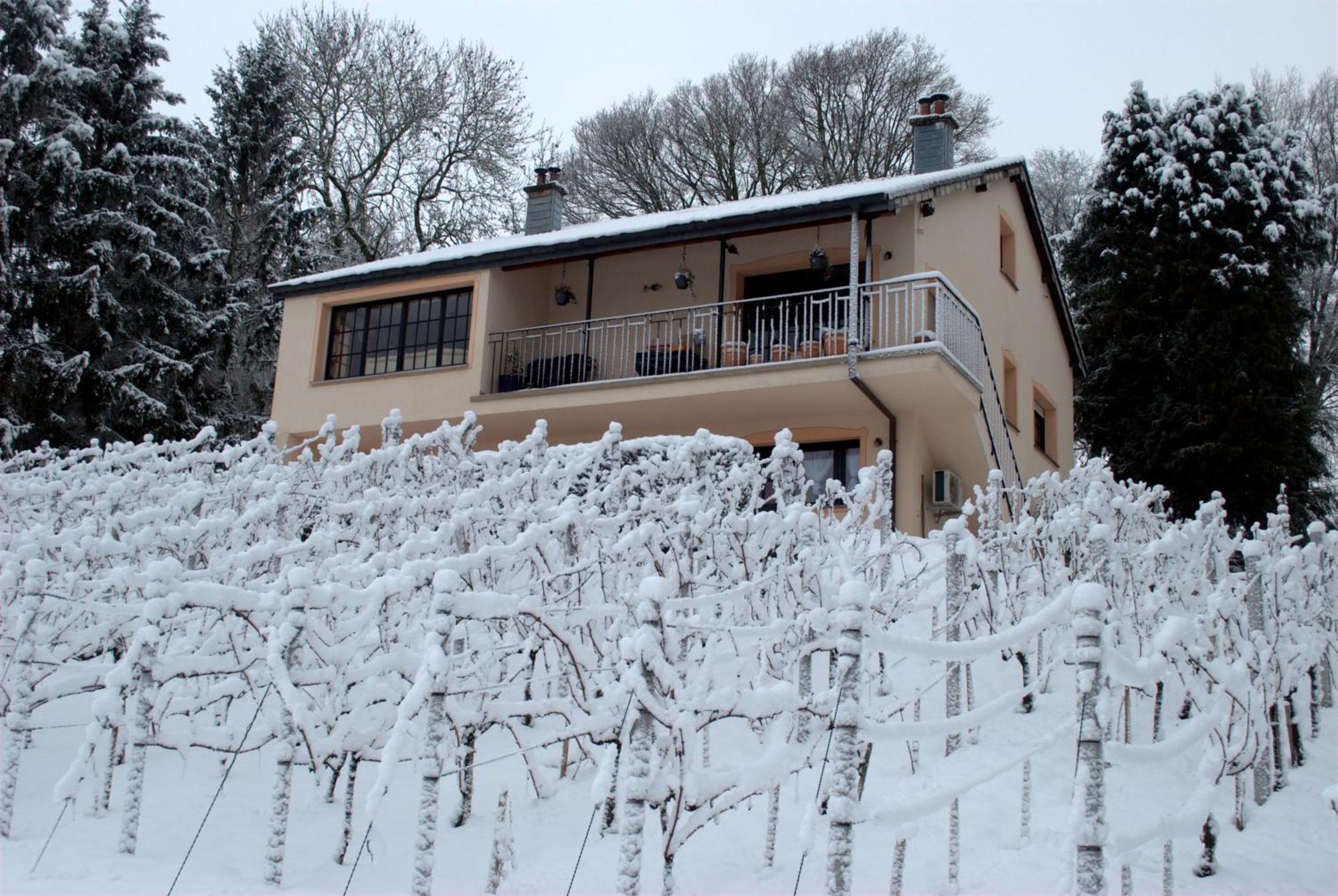 Casavitis Erholung Am Weinberg Lontzen Exterior foto